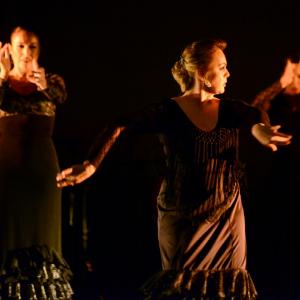 Fotografía de II muestra de Danza y Flamenco del estudio de Oscar Quero - Oscar Quero