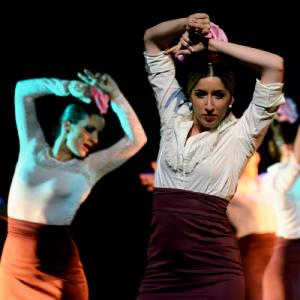 Fotografía de II muestra de Danza y Flamenco del estudio de Oscar Quero - Oscar Quero