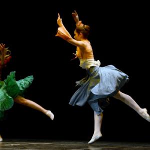 Fotografía de Gala Fin de curso de Terpsícore - Terpsícore, Taller de Danza