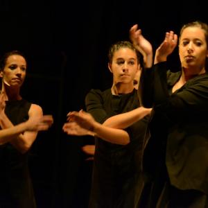Fotografía de FEX 2013: Ayres, preestreno - Conservatorio de Danza