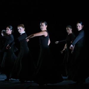Fotografía de FEX 2013: Ayres, preestreno - Conservatorio de Danza