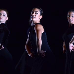 Fotografía de FEX 2013: Ayres, preestreno - Conservatorio de Danza
