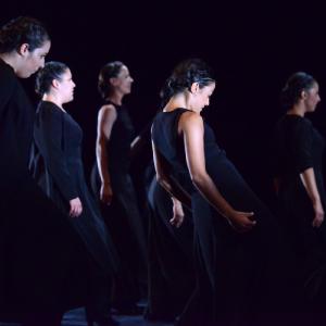 Fotografía de FEX 2013: Ayres, preestreno - Conservatorio de Danza