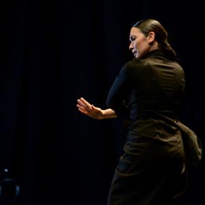 Fotografía de FEX 2013: Ayres, preestreno - Conservatorio de Danza