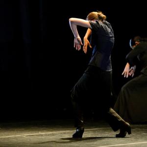 Fotografía de FEX 2013: Ayres, preestreno - Conservatorio de Danza