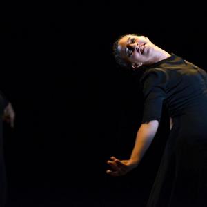 Fotografía de FEX 2013: Ayres, preestreno - Conservatorio de Danza