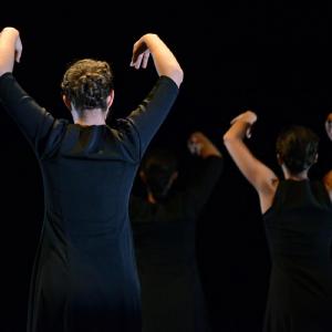 Fotografía de FEX 2013: Ayres, preestreno - Conservatorio de Danza