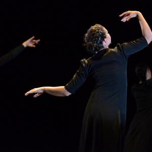 Fotografía de FEX 2013: Ayres, preestreno - Conservatorio de Danza