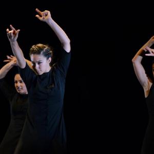 Fotografía de FEX 2013: Ayres, preestreno - Conservatorio de Danza