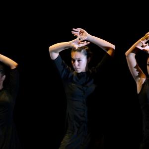 Fotografía de FEX 2013: Ayres, preestreno - Conservatorio de Danza