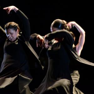 Fotografía de FEX 2013: Ayres, preestreno - Conservatorio de Danza
