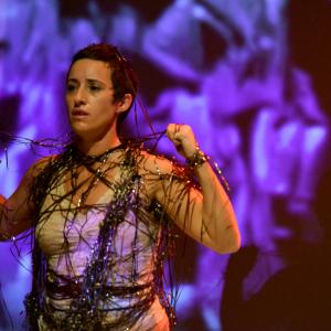 Fotografía de GIF 2013 - GIF