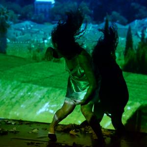 Fotografía de GIF 2013, Impro de clausura - GIF