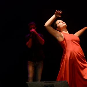 Fotografía de Concierto por Anantapur - 