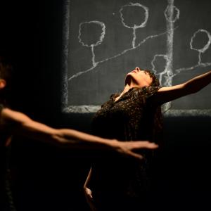 Fotografía de Provisional danza (Carmen Werner): Eternos - Provisional danza (Carmen Werner)