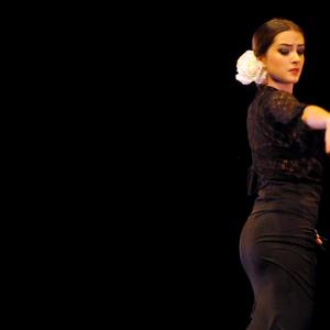Fotografía de Concurso de coreografías 2012 Nivel I - Conservatorio de Danza
