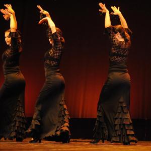 Fotografía de Concurso de coreografías 2012 Nivel I - Conservatorio de Danza