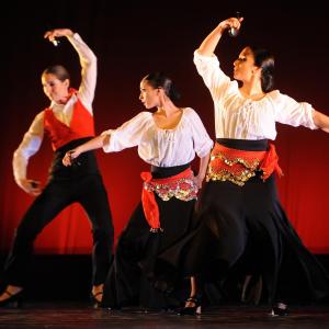 Fotografía de Concurso de coreografías 2012 Nivel I - Conservatorio de Danza