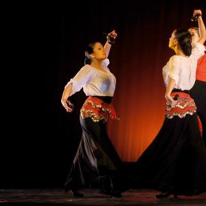 Fotografía de Concurso de coreografías 2012 Nivel I - Conservatorio de Danza