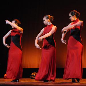 Fotografía de Concurso de coreografías 2012 Nivel II - Conservatorio de Danza