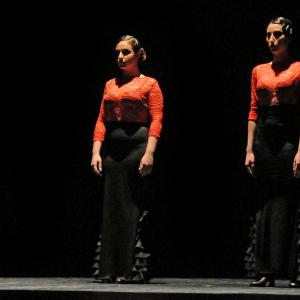 Fotografía de Concurso de coreografías 2012 Nivel II - Conservatorio de Danza