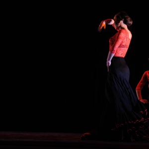 Fotografía de Concurso de coreografías 2012 Nivel II - Conservatorio de Danza