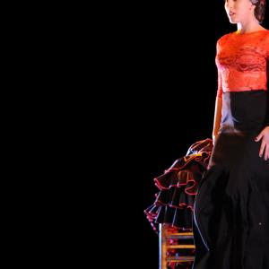 Fotografía de Concurso de coreografías 2012 Nivel II - Conservatorio de Danza