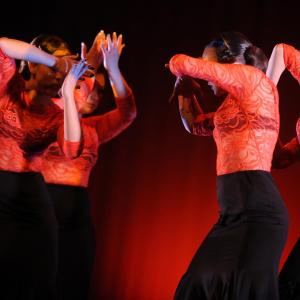 Fotografía de Concurso de coreografías 2012 Nivel II - Conservatorio de Danza