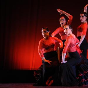 Fotografía de Concurso de coreografías 2012 Nivel II - Conservatorio de Danza