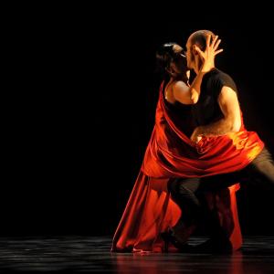 Fotografía de Festival de Tango de Granada: Perfiles - 