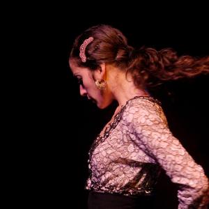 Fotografía de El flamenco es ansí - El Pelito