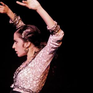 Fotografía de El flamenco es ansí - El Pelito
