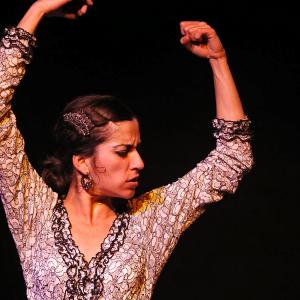 Fotografía de El flamenco es ansí - El Pelito
