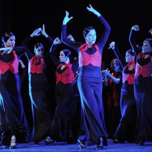 Fotografía de Conservatorio de Danza. Talleres Baile Flamenco - Conservatorio de Danza