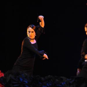 Fotografía de Conservatorio de Danza. Talleres Baile Flamenco - Conservatorio de Danza
