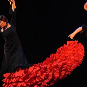 Fotografía de Conservatorio de Danza. Talleres Baile Flamenco - Conservatorio de Danza