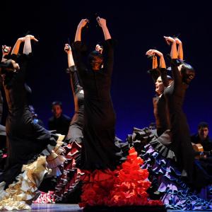 Fotografía de Conservatorio de Danza. Talleres Baile Flamenco - Conservatorio de Danza