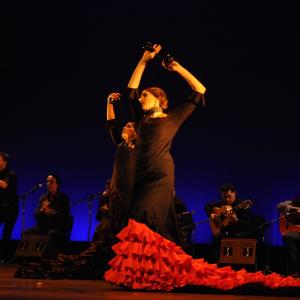Fotografía de Conservatorio de Danza. Talleres Baile Flamenco - Conservatorio de Danza