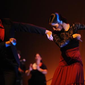 Fotografía de Conservatorio de Danza. Talleres Baile Flamenco - Conservatorio de Danza