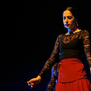 Fotografía de Conservatorio de Danza. Talleres Baile Flamenco - Conservatorio de Danza