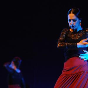 Fotografía de Conservatorio de Danza. Talleres Baile Flamenco - Conservatorio de Danza