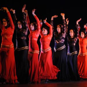 Fotografía de Conservatorio de Danza. Talleres Baile Flamenco - Conservatorio de Danza
