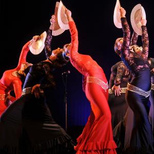 Fotografía de Conservatorio de Danza. Talleres Baile Flamenco - Conservatorio de Danza