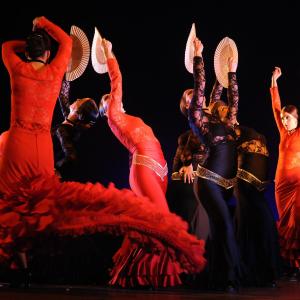 Fotografía de Conservatorio de Danza. Talleres Baile Flamenco - Conservatorio de Danza