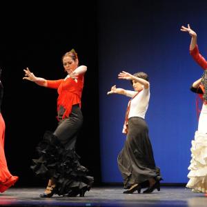 Fotografía de En Granada se danza contra el cáncer - 
