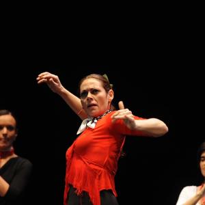 Fotografía de En Granada se danza contra el cáncer - 