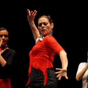 Fotografía de En Granada se danza contra el cáncer - 