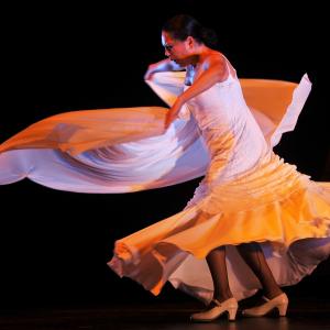 Fotografía de En Granada se danza contra el cáncer - 