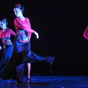 Fotografía de En Granada se danza contra el cáncer - 