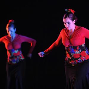 Fotografía de En Granada se danza contra el cáncer - 